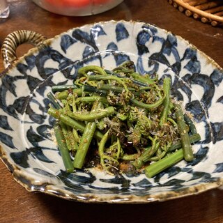 春のおつまみ☆蕨(わらび)のお浸し